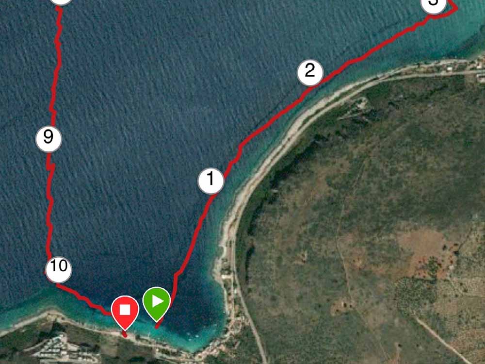 Oceanman - Race for Autism Gr